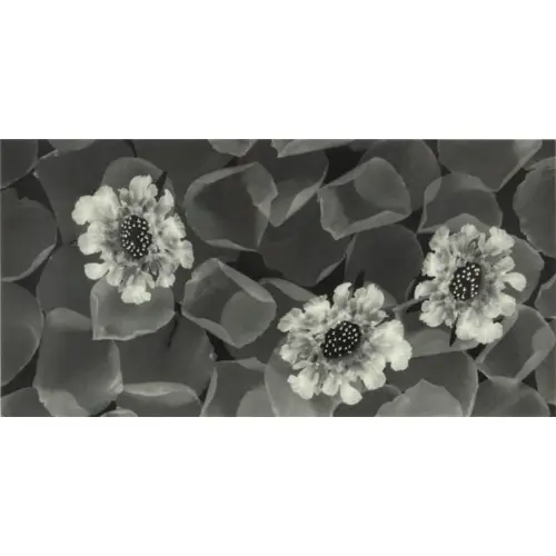 Decor Bloom GK3060-7253 30x60