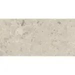 Terrazzo Beige 60x120