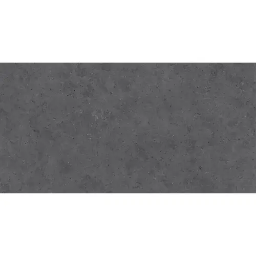 Limestone Anthracite Rec 60x120